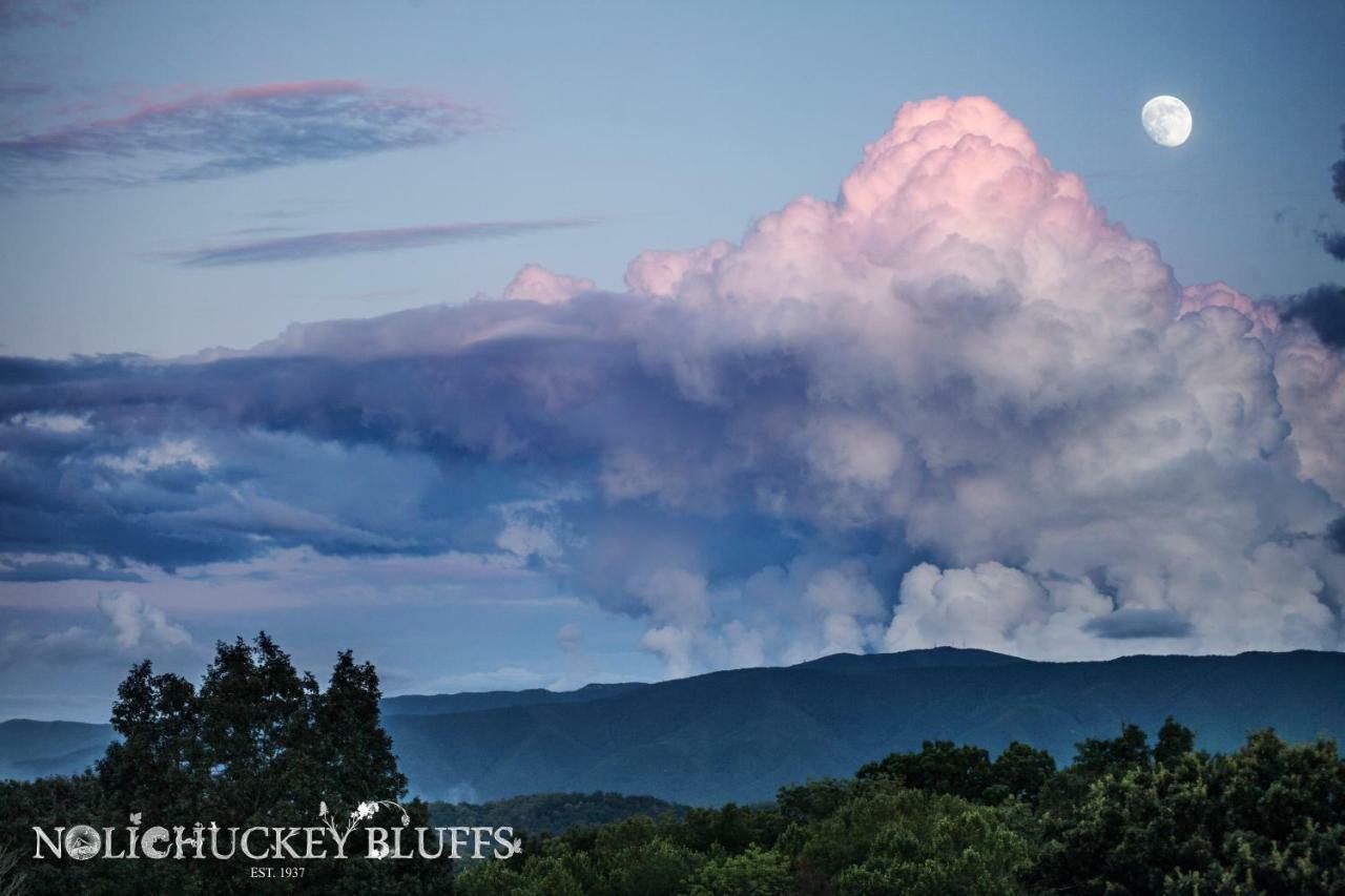 Nolichuckey Bluffs Bed & Breakfast Cabins Greeneville Bagian luar foto