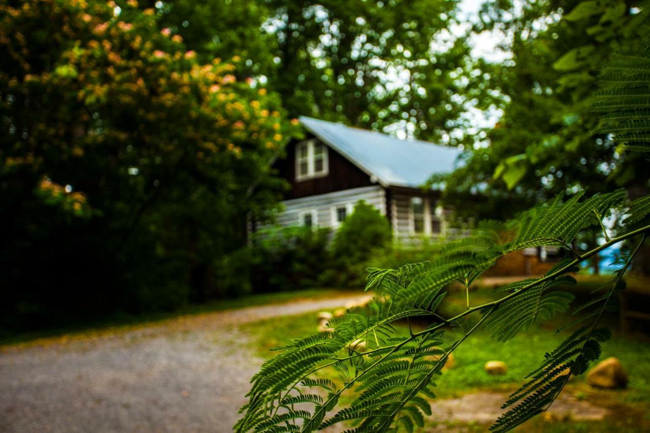 Nolichuckey Bluffs Bed & Breakfast Cabins Greeneville Bagian luar foto